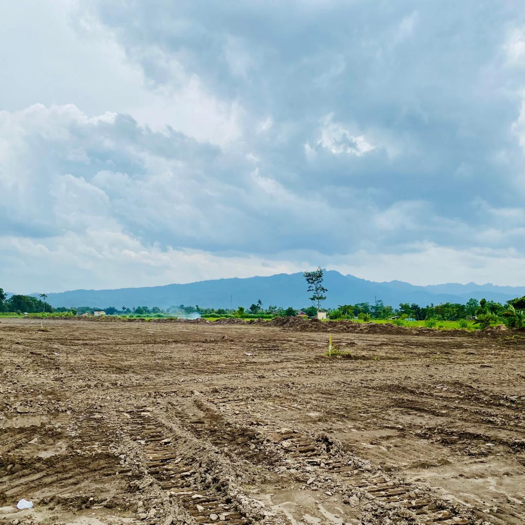 Estate Plots